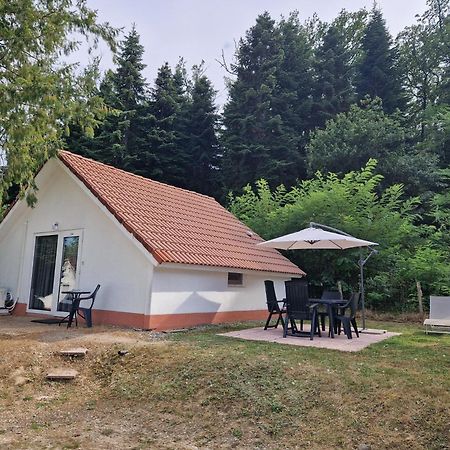 Mon Chalet En Ariege Avec Piscine Daumazan-sur-Arize Экстерьер фото