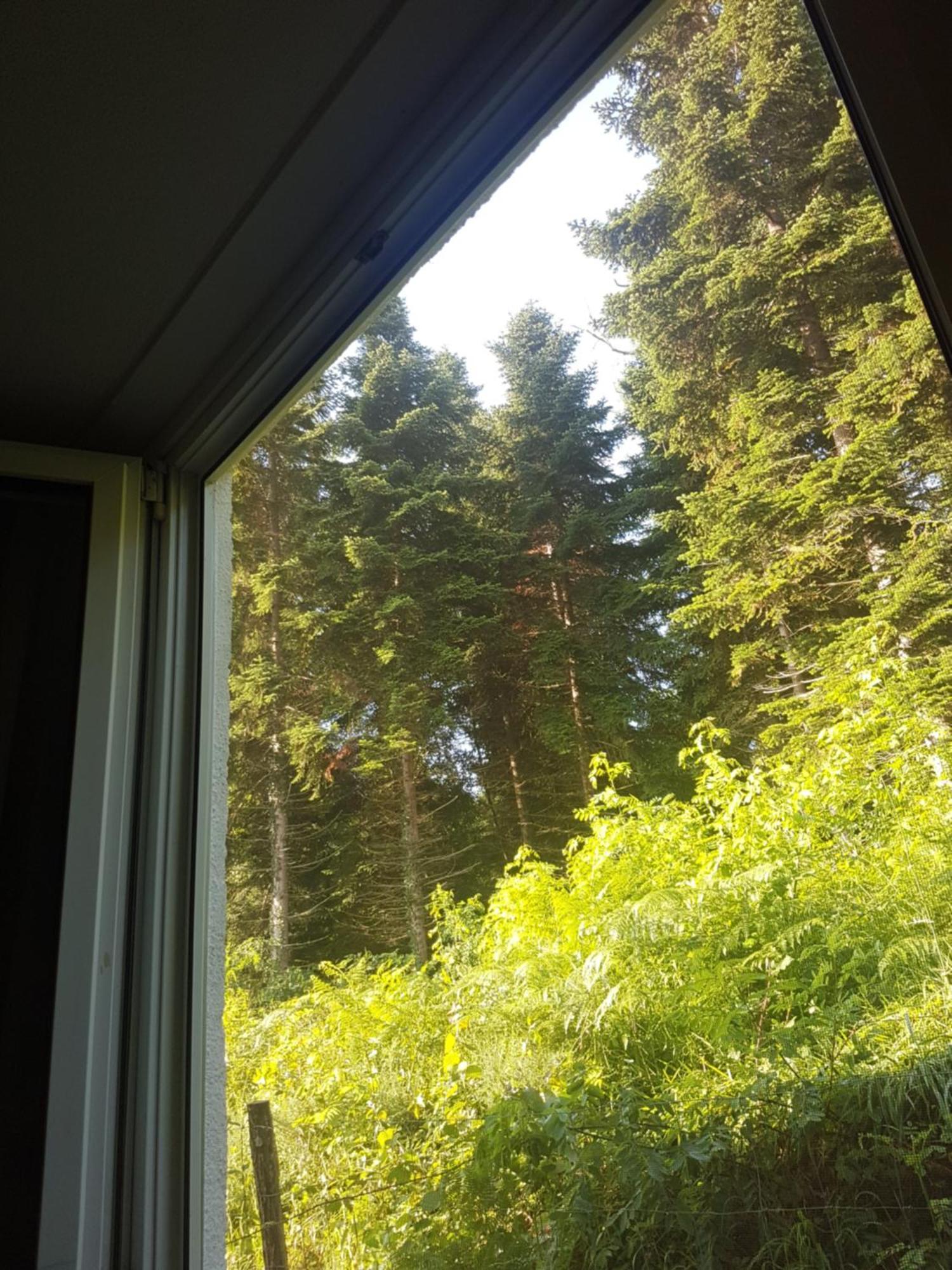 Mon Chalet En Ariege Avec Piscine Daumazan-sur-Arize Экстерьер фото