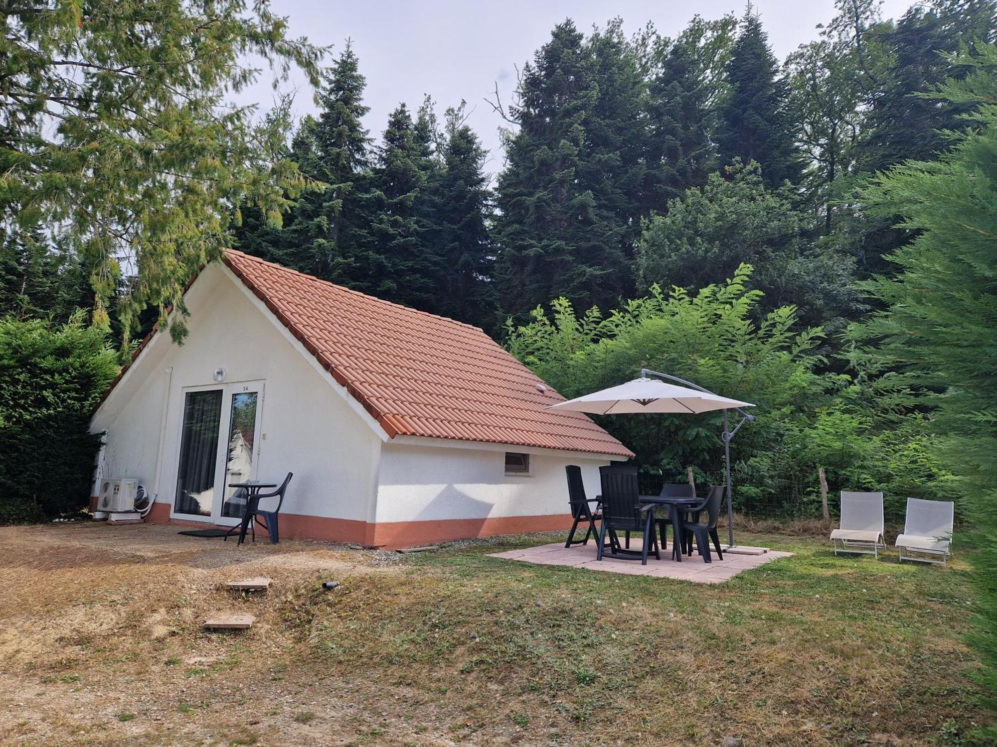 Mon Chalet En Ariege Avec Piscine Daumazan-sur-Arize Экстерьер фото